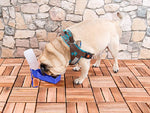 Tragbarer Wasserspender für Hunde, inkl. Trageschlaufe, 250 ml