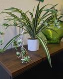 Kunstpflanze Grünlilie (Chlorophytum comosum) 60 cm im Topf
