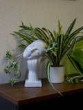 Kunstpflanze Grünlilie (Chlorophytum comosum) 60 cm im Topf