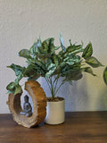 Kunstpflanze Kolbenfaden (Aglaonema) 40 cm im Topf