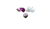 Gemüsedosen Set 3-tlg