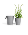 Boum 2 Starter Set: 35L Wassertank + Steuerung + Pflanztopf 15L grau