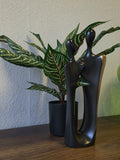 Kunstpflanze Glanzkölbchen (Aphelandra Squarrosa) – 2er Set – 50 cm im Topf