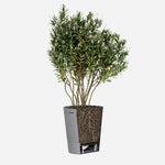 Boum Pflanztopf 15L grau mit innovativem Dochtsystem