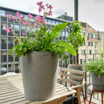 Boum Pflanztopf 15L grau mit innovativem Dochtsystem