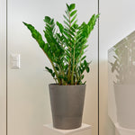 Boum Pflanztopf 15L grau mit innovativem Dochtsystem