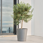 Boum Pflanztopf 30L Pro weiß mit innovativem Dochtsystem
