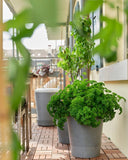 Boum 2 Starter Set: 35L Wassertank + Steuerung + Pflanztopf 15L grau