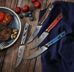 WOLFCUT - Damaskus Steakmesser-Set 4-tlg. 67-lagiger Damaszenerstahl mit Geschenkbox