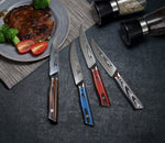 WOLFCUT - Damaskus Steakmesser-Set 4-tlg. 67-lagiger Damaszenerstahl mit Geschenkbox